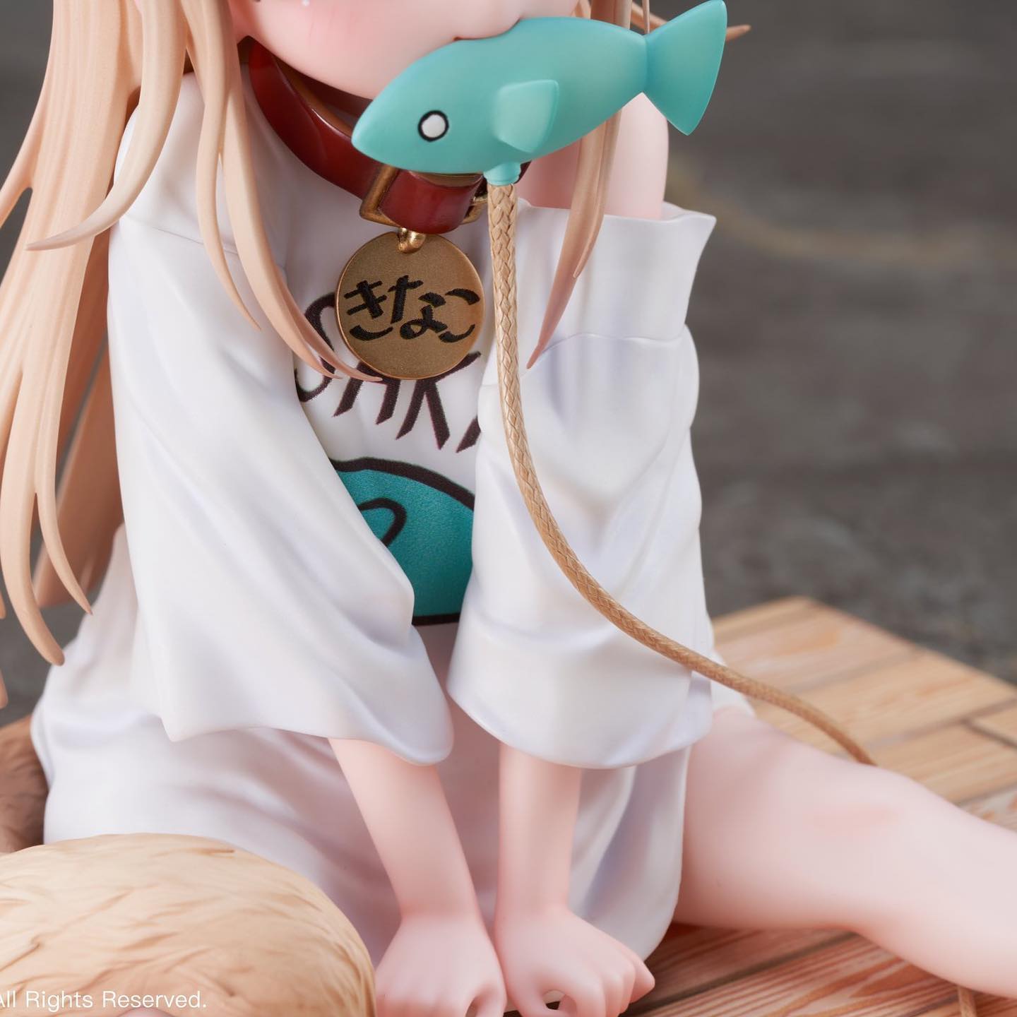 Kinako Figure Released (8)